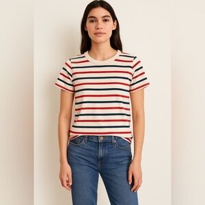 Madewell Northside Vintage Tee in Sid Stripe